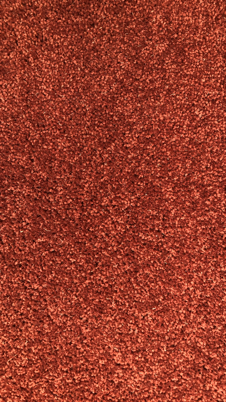 >CASTLEBAY COPPER BEECH ...................................................SOLD...................................................